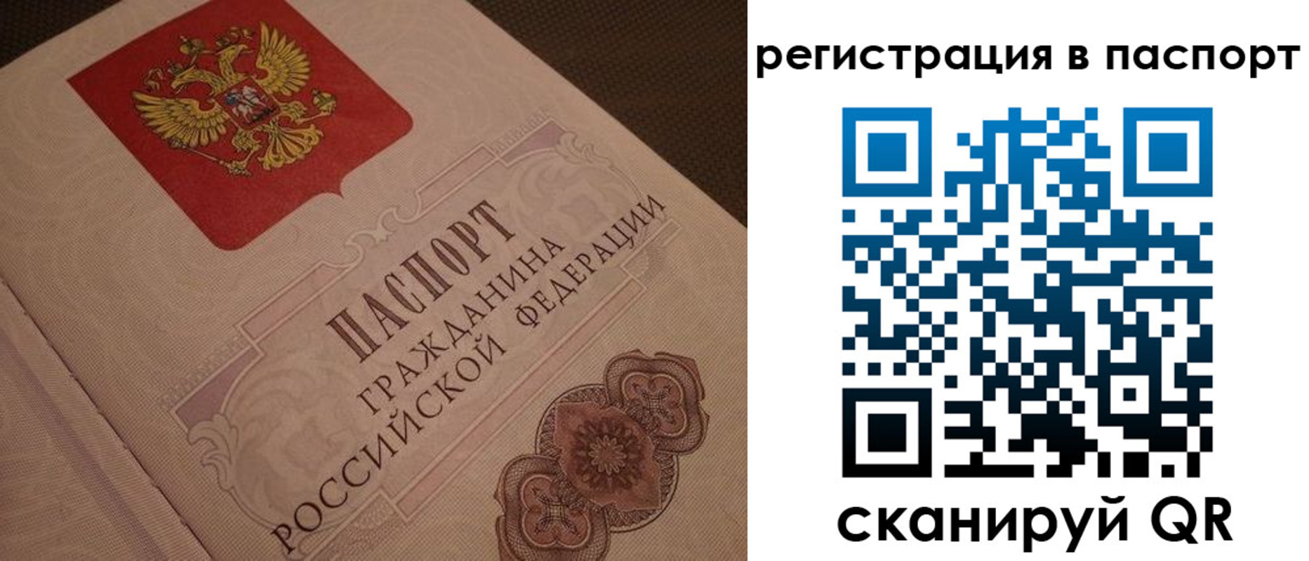 временная регистрация надежно в Курганской области